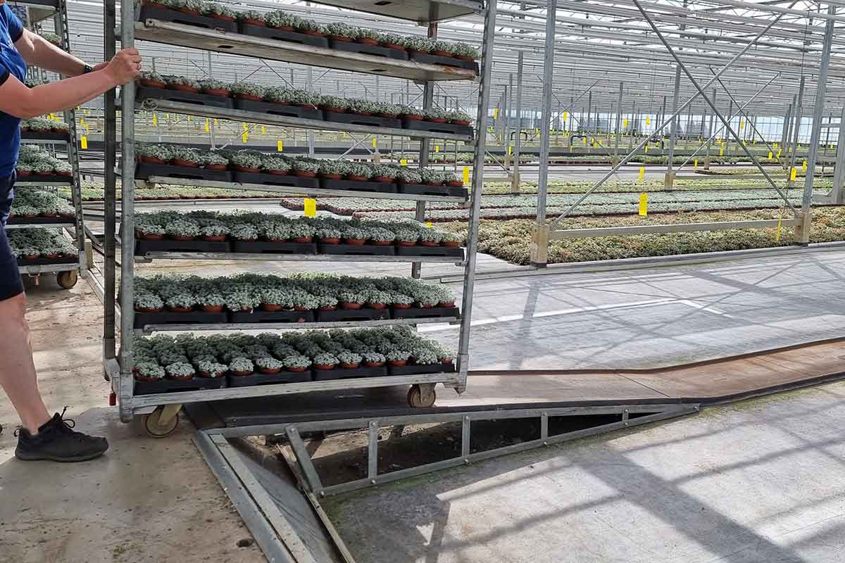 CC-Wegeplatten bei Escaro Plans