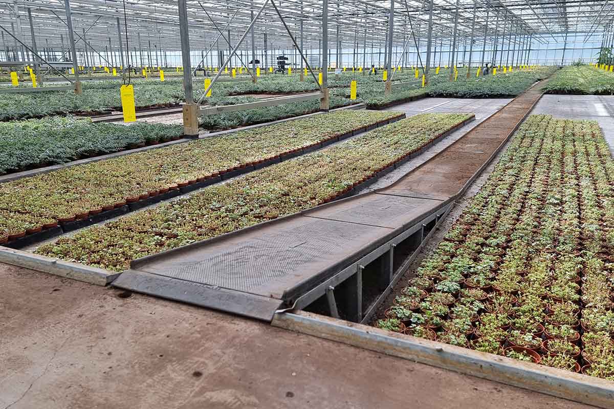 CC-Wegeplatten bei Escaro Plans