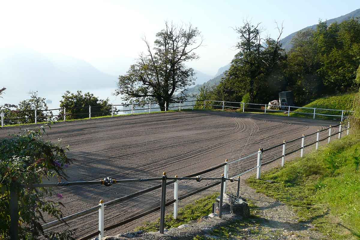 Reitplatz René Berger
