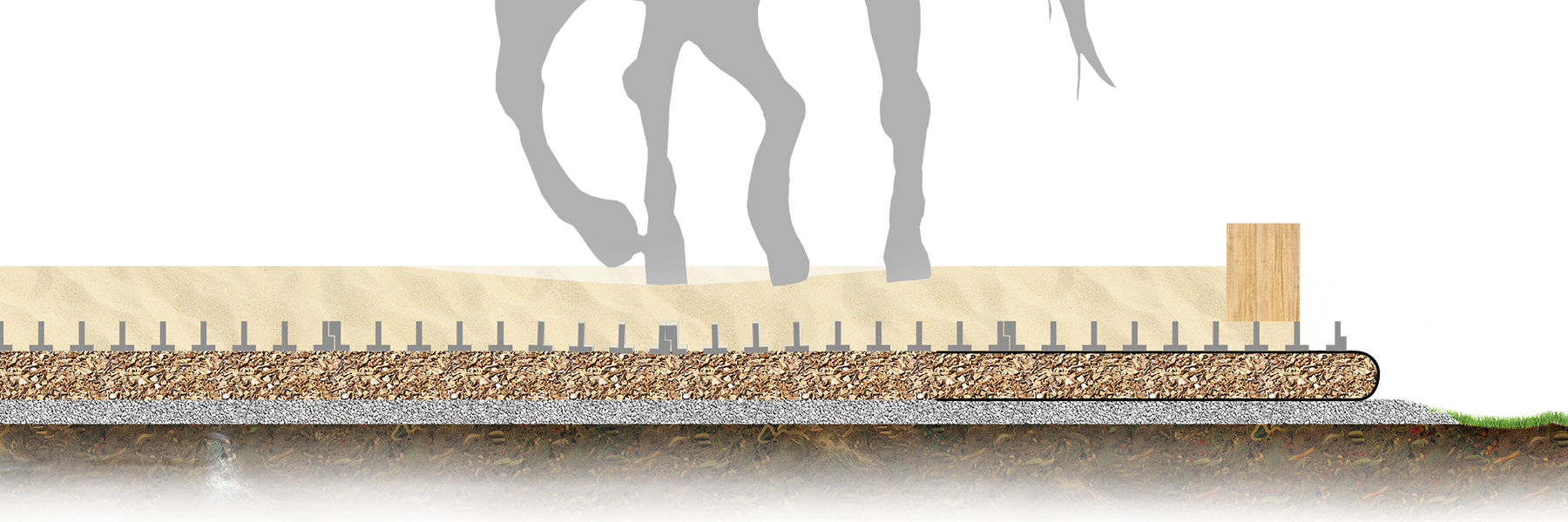 TTE® LONGIERZIRKEL ELASTIK Aufbau TTE® LONGIERZIRKEL ELASTIK Aufbau