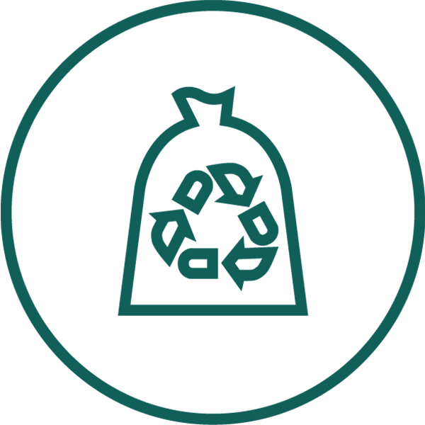 Dressurplatz & Springplatz