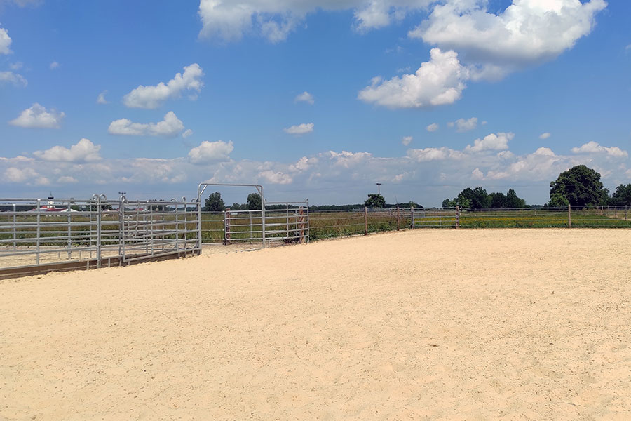 Petra Erz Reitplatz wurde in der TTE® ReitplatzELASTIK Bauweise gebaut und besticht nicht nur durch seinen schönen Ausblick. Petra Erz Reitplatz wurde in der TTE® ReitplatzELASTIK Bauweise gebaut und besticht nicht nur durch seinen schönen Ausblick.