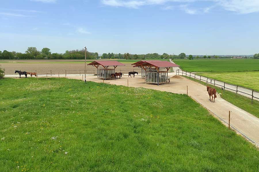Der Bewegungsstall Vallo am Harzerhof Der Bewegungsstall Vallo am Harzerhof