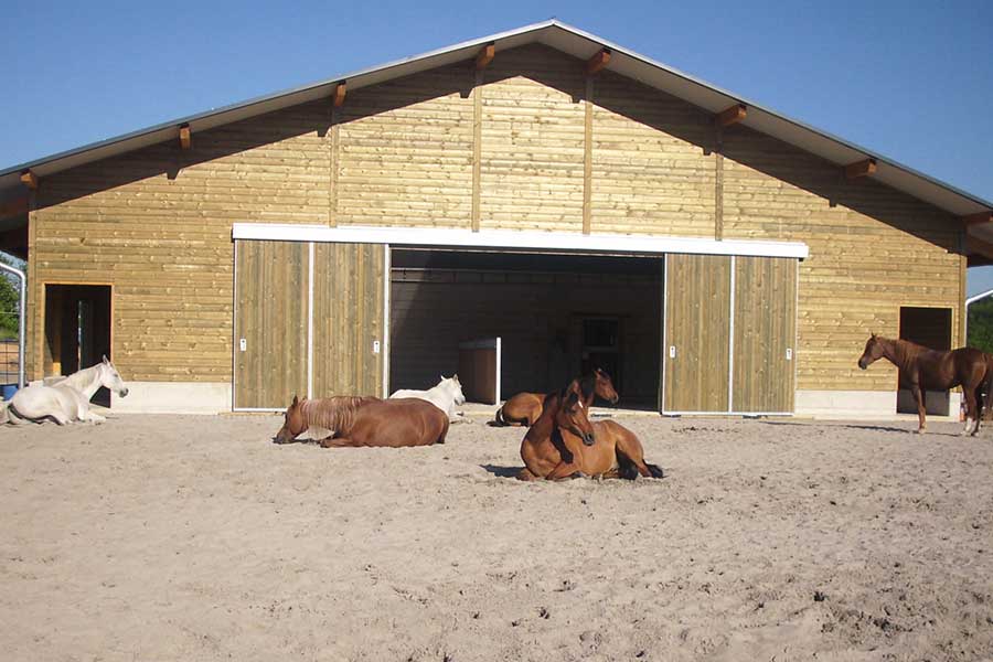 Paddock Paddock