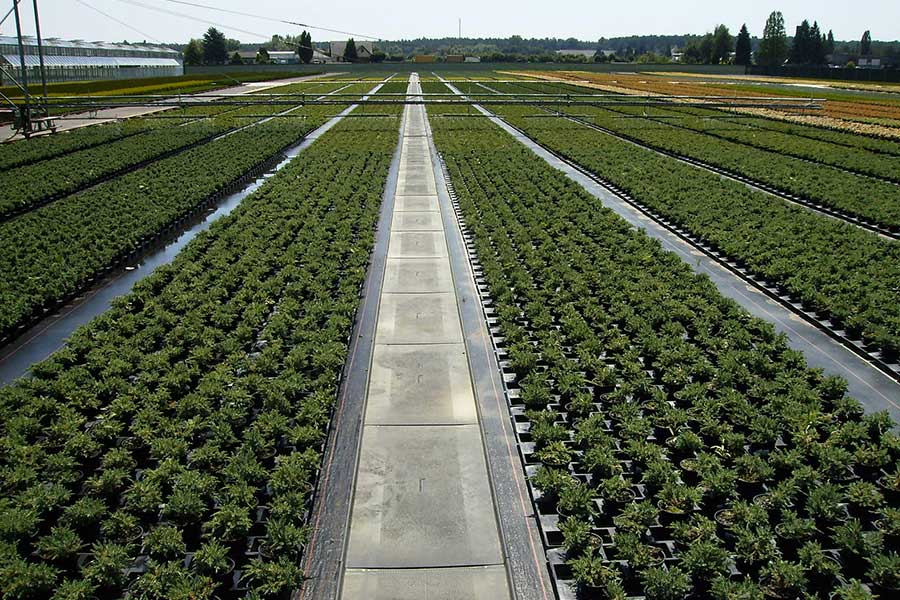 Gartenbau Sieben