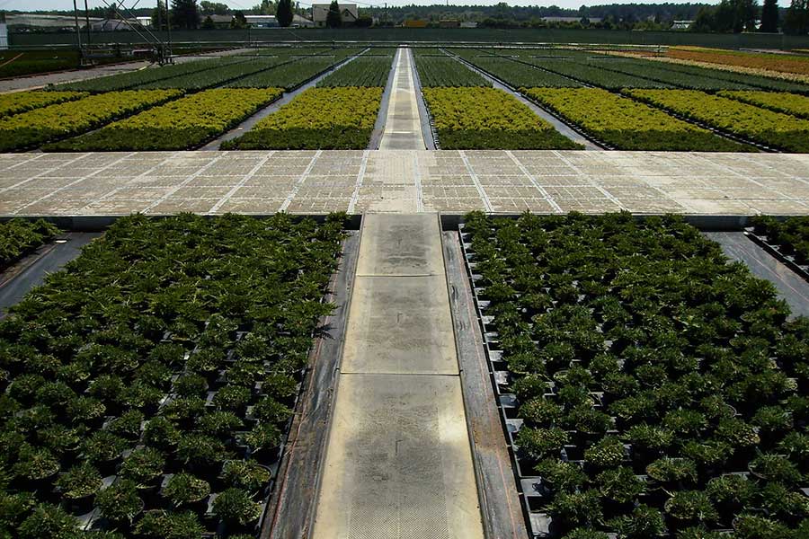 Gartenbau Sieben
