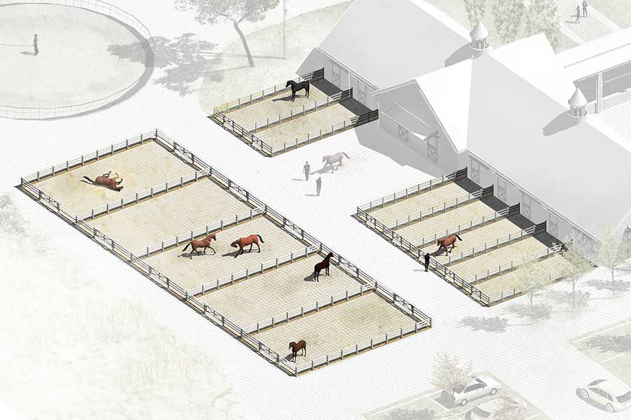 Paddocks/Ausläufe Paddocks/Ausläufe