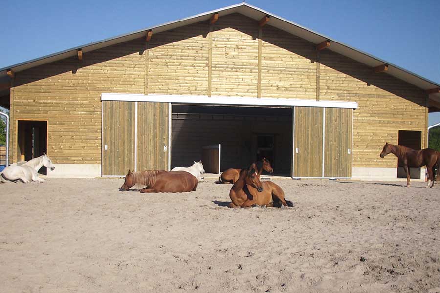 Sandauslauf+f%C3%BCr+Pferde