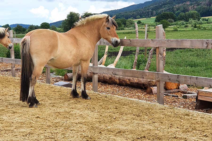 Der+Sandplatz+ist+bereit+f%C3%BCr+seine+kleinen+und+gro%C3%9Fen+Nutzer%3Ainnen.
