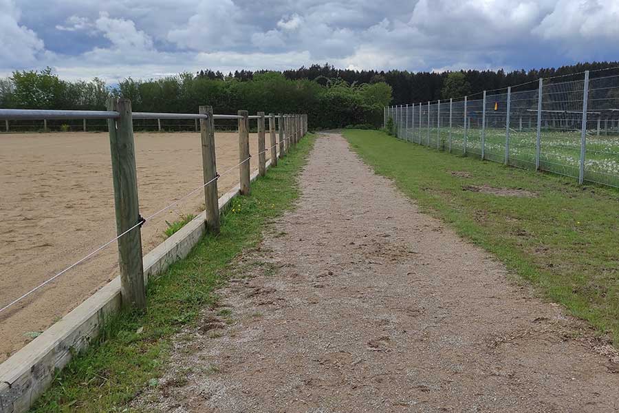 Trampelpfad+in+der+Pferdehaltung