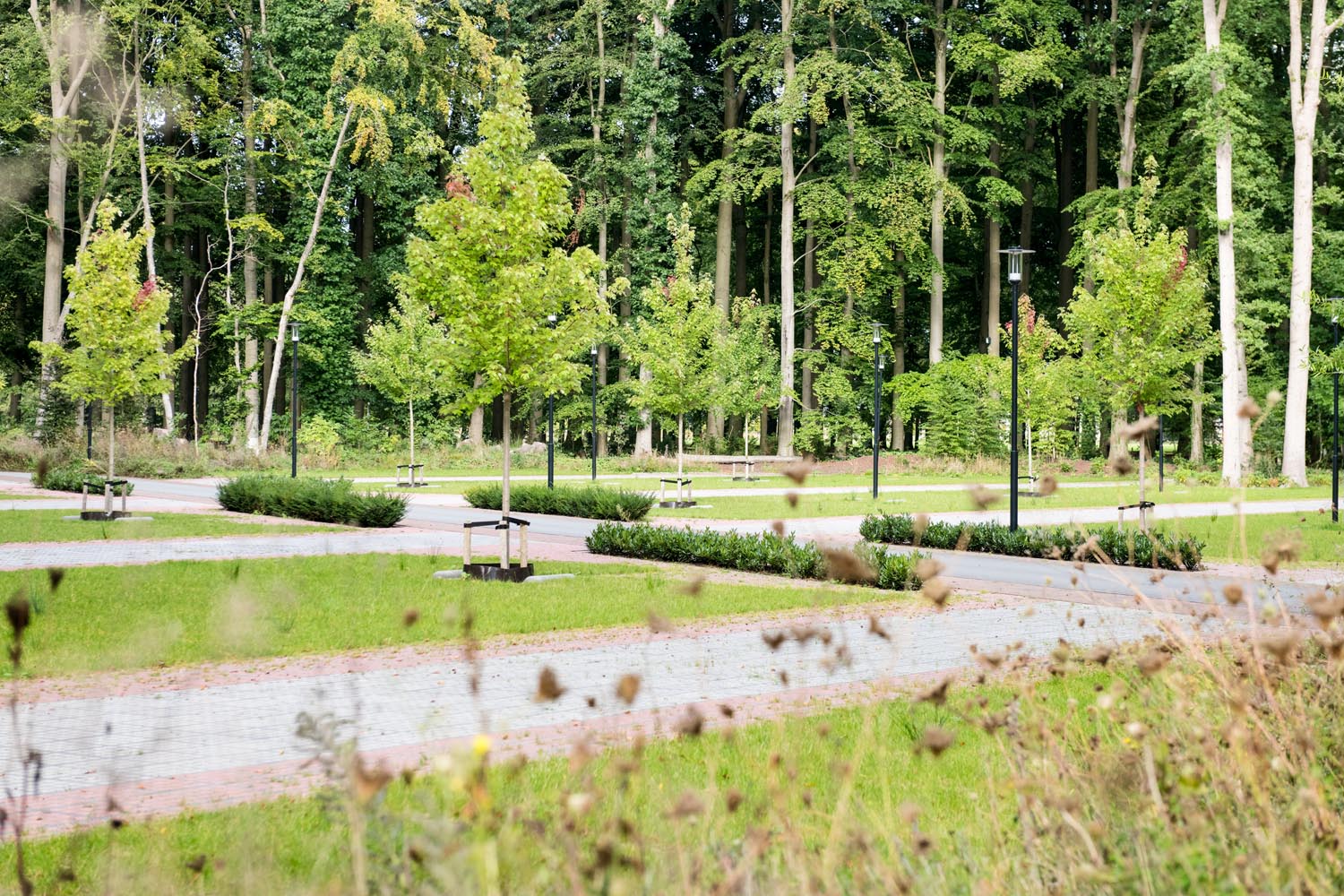 Mit Pflanzen und unversiegelten Flächen holt die Schwammstadt den natürlichen Wasserkreislauf zurück in die Stadt. 