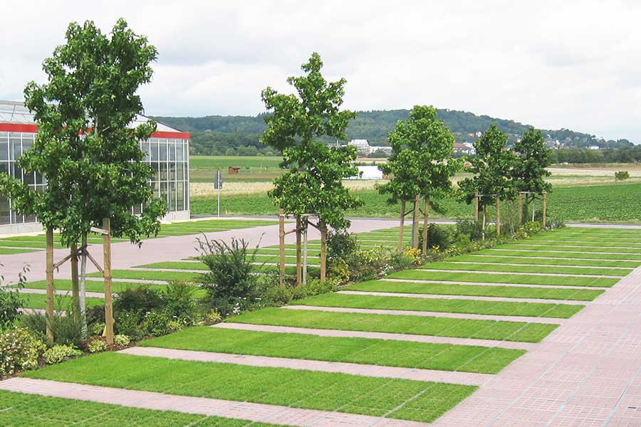 TTE® als Wurzelschutz für Bestandsbäume