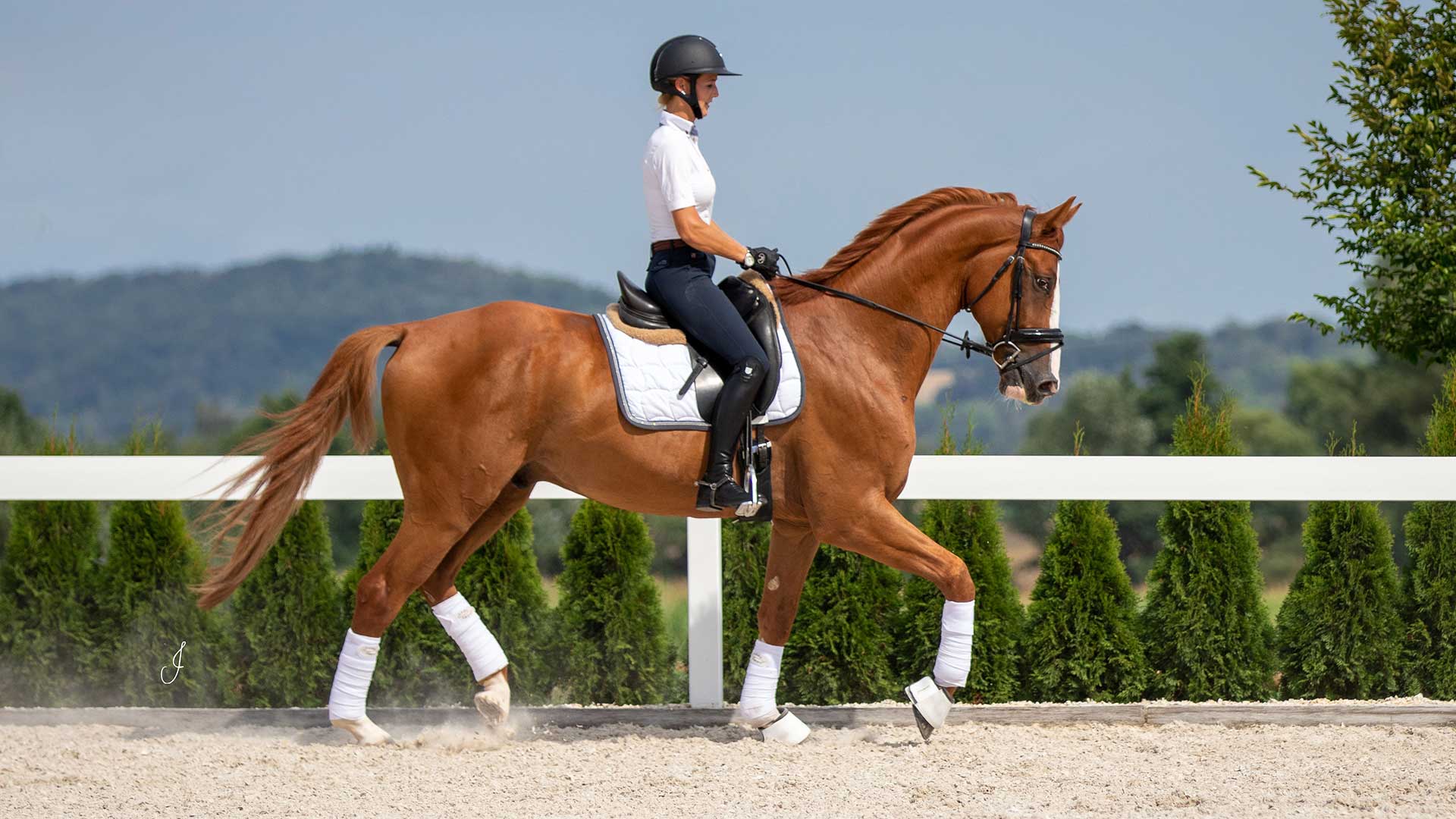 TTE® REITPLATZ: optimale Reiteigenschaften für Dressur- und Springreiten TTE® REITPLATZ: optimale Reiteigenschaften für Dressur- und Springreiten