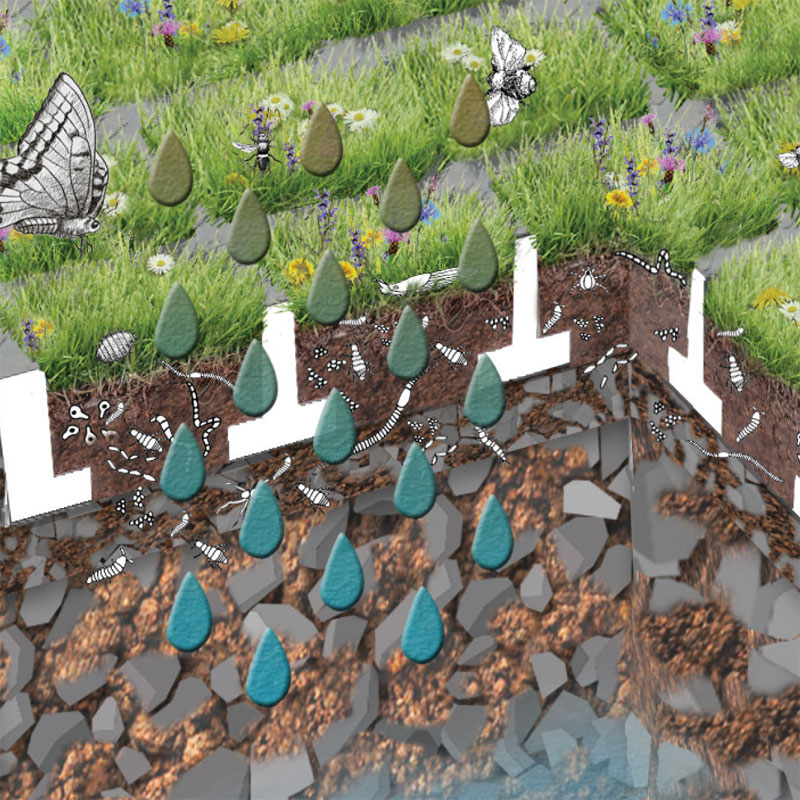 Regenwasserbehandlung mit TTE® GRÜN durch CO2-Bindung, Feinstaubbindung. Lebensraum für Biodiversität und Bodenleben. Regenwasserbehandlung mit TTE® GRÜN durch CO2-Bindung, Feinstaubbindung. Lebensraum für Biodiversität und Bodenleben.