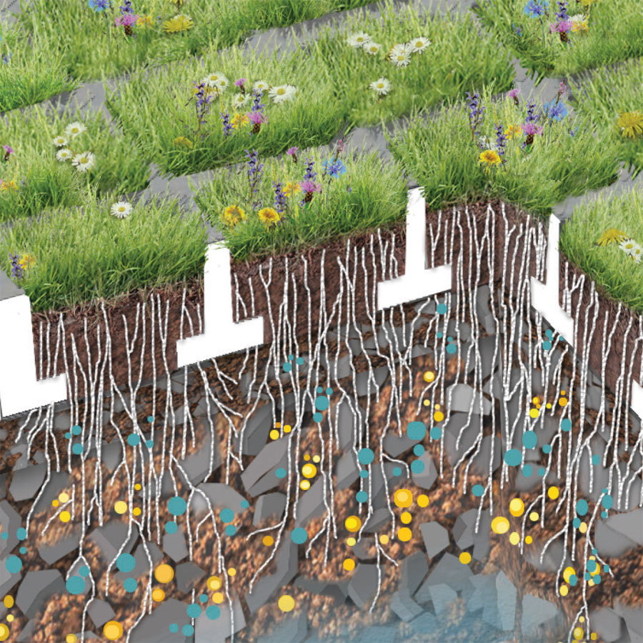 Ideale Begrünung mit TTE® GRÜN durch Schutz der Grasnarbe und besonderen Substrataufbau. Optimale Wasserversorgung und Nährstoffversorgung. Ideale Begrünung mit TTE® GRÜN durch Schutz der Grasnarbe und besonderen Substrataufbau. Optimale Wasserversorgung und Nährstoffversorgung.