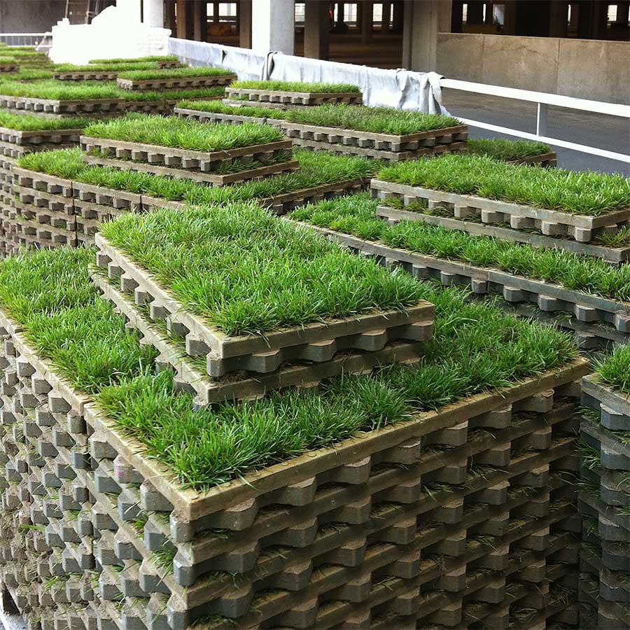 TTE® directGREEN fix und fertig angeliefert TTE® directGREEN fix und fertig angeliefert